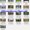 Captura-AnimalsStockVids1-V2_mrr-infoproductos.com-now7.com