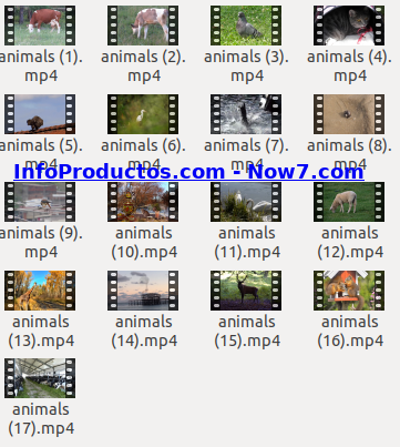 Captura-AnimalsStockVids1-V2_mrr-infoproductos.com-now7.com