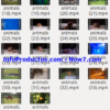 Captura-AnimalsStockVids2-V2_mrr-infoproductos.com-now7.com