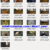 Captura-AnimalsStockVids3-V2_mrr-infoproductos.com-now7.com
