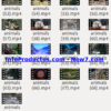 Captura-AnimalsStockVids4-V2_mrr-infoproductos.com-now7.com