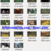 Captura-AnimalsStockVids5-V2_mrr-infoproductos.com-now7.com