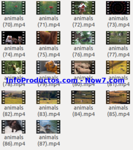 Captura-AnimalsStockVids5-V2_mrr-infoproductos.com-now7.com