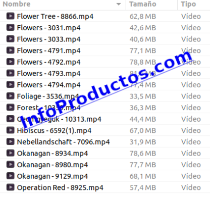 Foliage4kStockVideoFootage-pt1-elemntos-InfoProductos.com