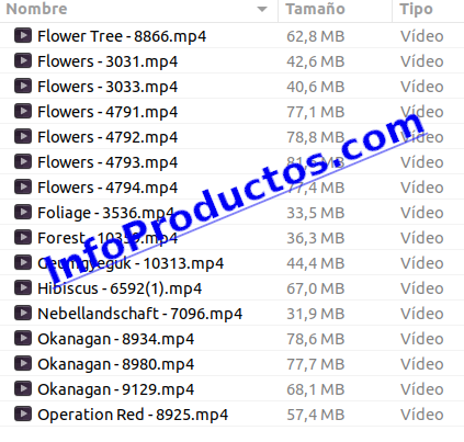 Foliage4kStockVideoFootage-pt1-elemntos-InfoProductos.com
