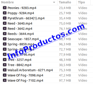 Foliage4kStockVideoFootage-pt2-elementos-InfoProductos.com