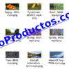 Foliage4kStockVideoFootage-pt2-videos-InfoProductos.com