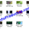 Rain4KStockVideoFootage-videos-InfoProductos.com