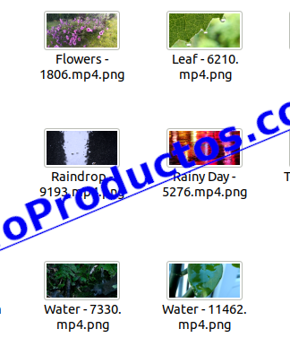 Rain4KStockVideoFootage-videos-InfoProductos.com