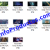 Pack de Videos - BACKGROUND Footage 4K Stock Videos - Imagen 4