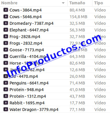 Animals4KStockVideoFootage-3-elementos-InfoProductos.com