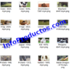 Animals4KStockVideoFootage-3-videos-InfoProductos.com