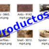 Insect4kStockVideoFootage-pt1-videos-InfoProductos.com