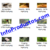 Insect4kStockVideoFootage-pt2-videos-InfoProductos.com