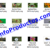 Insect4kStockVideoFootage-pt3-videos-InfoProductos.com